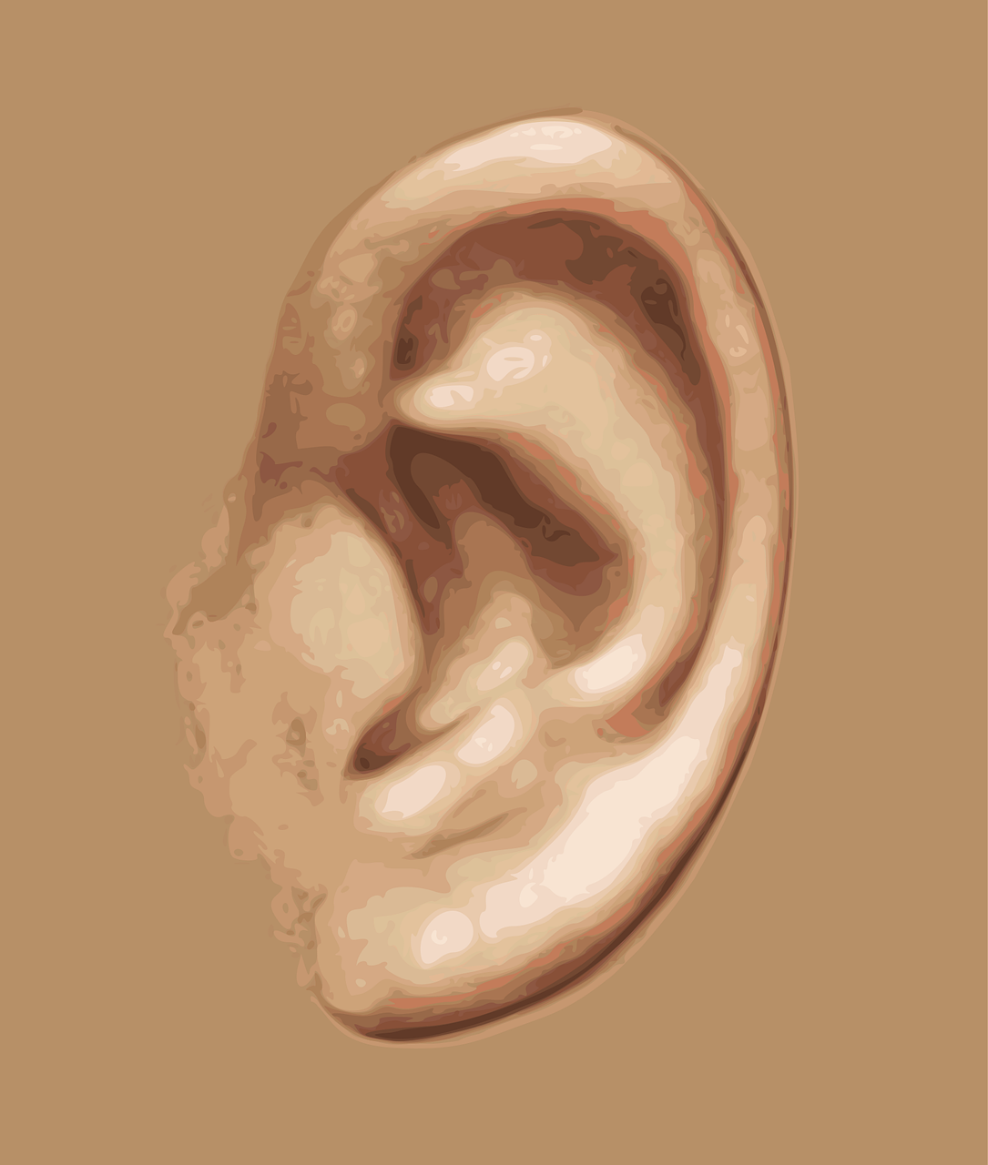 découvrez tout ce qu'il faut savoir sur le piercing du lobe de l'oreille : techniques, soins, tendances et conseils pour un style unique et sûr.