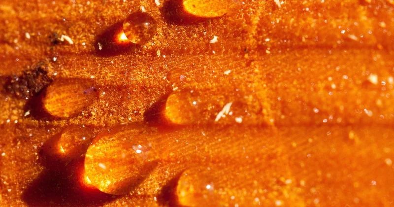 Pourquoi votre résine reste collante (et ce n'est pas la faute du produit)