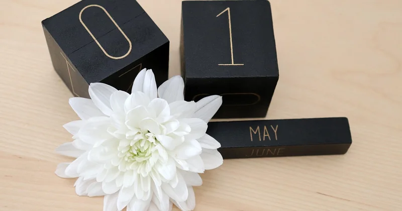 Calendrier de floraison : ce qui change vraiment selon votre région