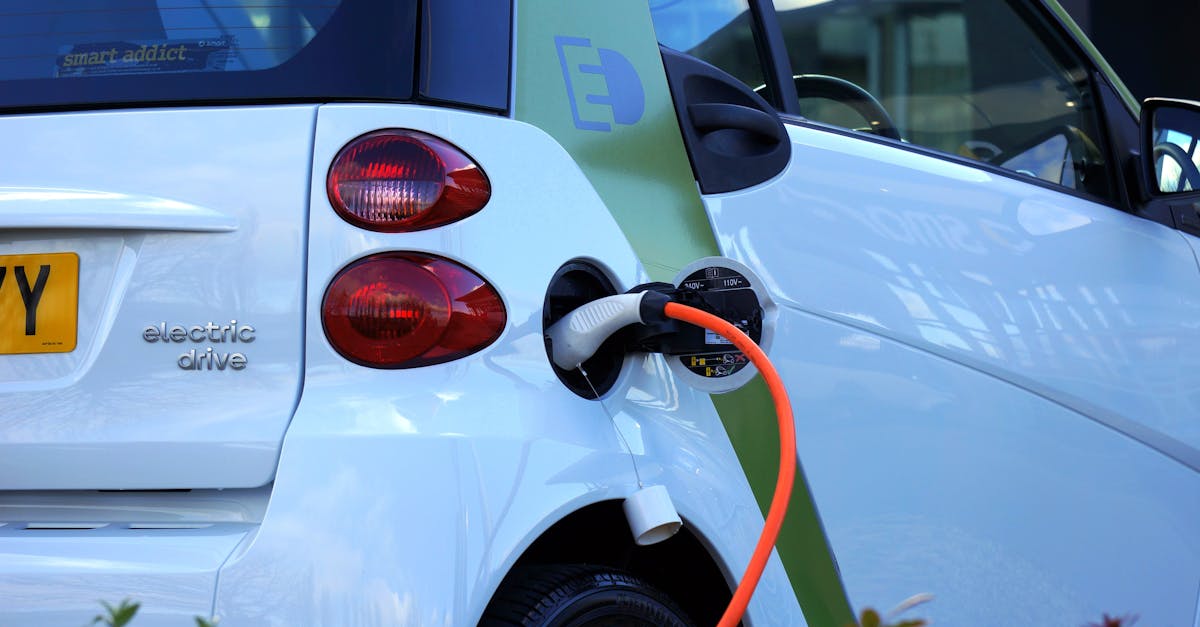 Le guide complet sur le choix et l’entretien des plugs anaux