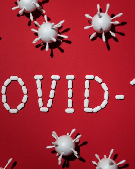 découvrez tout sur les infections : causes, symptômes, prévention et traitements. informez-vous pour protéger votre santé et celle de vos proches.
