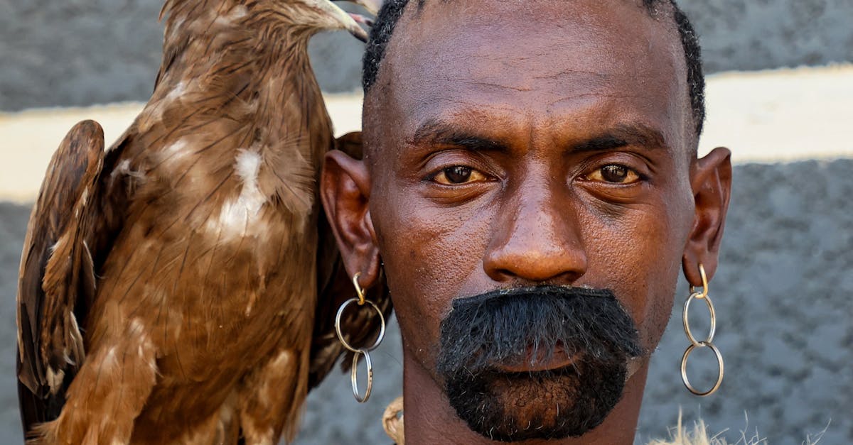 découvrez l'univers fascinant du piercing animal, une tendance unique alliant art corporel et respect du bien-être animal. explorez nos conseils, techniques et informations sur cette pratique intrigante et comment garantir la sécurité et le confort de votre animal. plongez dans une nouvelle expérience d'expression esthétique pour vos compagnons à quatre pattes.