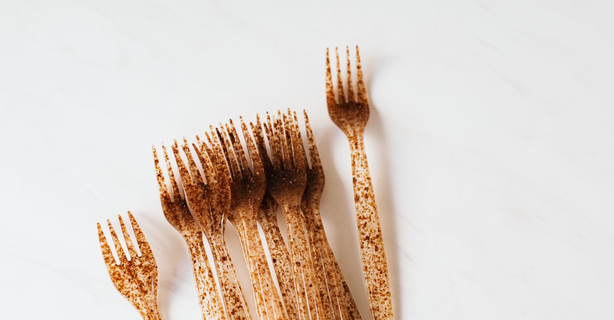 découvrez le monde des bioplastiques, une solution durable pour réduire l'impact environnemental des plastiques traditionnels. apprenez comment ces matériaux innovants, issus de ressources renouvelables, révolutionnent divers secteurs tout en contribuant à la préservation de notre planète.