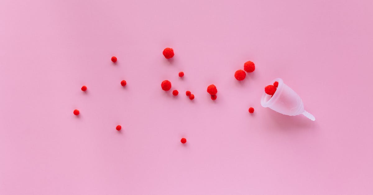 découvrez nos piercings en silicone, confortables et flexibles, idéaux pour tous ceux qui souhaitent allier style et sécurité. explorez notre collection et trouvez le piercing parfait pour exprimer votre personnalité sans compromis.
