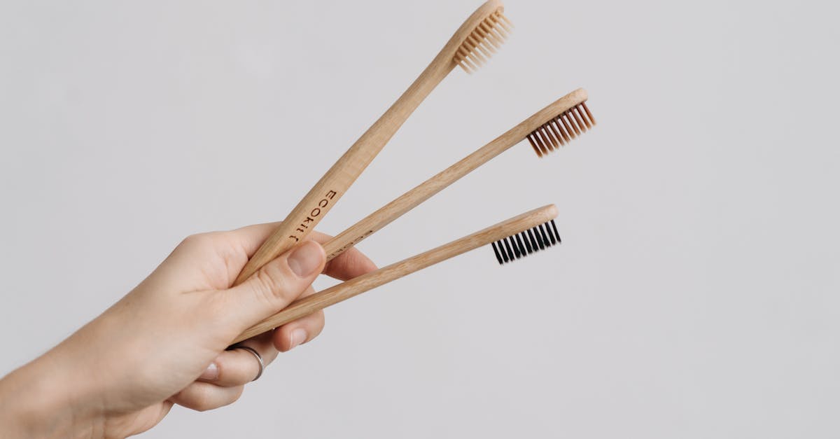 découvrez le monde du piercing éthique : un service respectueux de l'environnement et du bien-être animal, avec des bijoux de qualité et un engagement envers la santé de nos clients. rejoignez-nous pour une expérience unique et responsable.