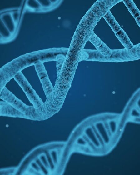 d&eacute;couvrez tout sur le piercing helix : style, soins, conseils et tendances pour sublimer votre oreille avec ce bijou tendance.