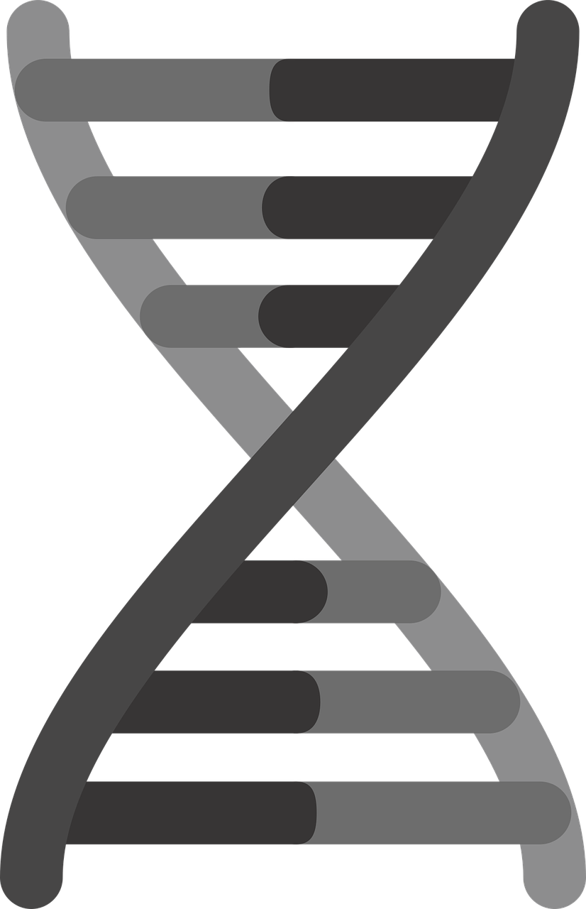 découvrez tout sur le helix piercing : conseils, soins et styles pour sublimer votre oreille avec ce piercing tendance et élégant.