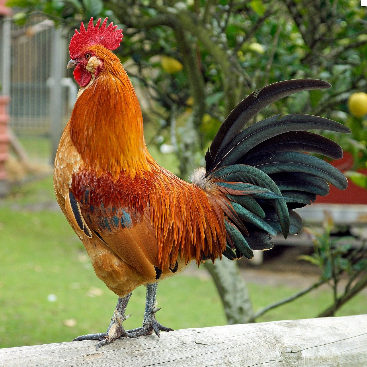 d&eacute;couvrez notre gamme d'earlobe stretchers pour &eacute;tirer vos lobes d'oreilles en douceur et style. adapt&eacute;s &agrave; tous les niveaux, ils allient confort et esth&eacute;tique.